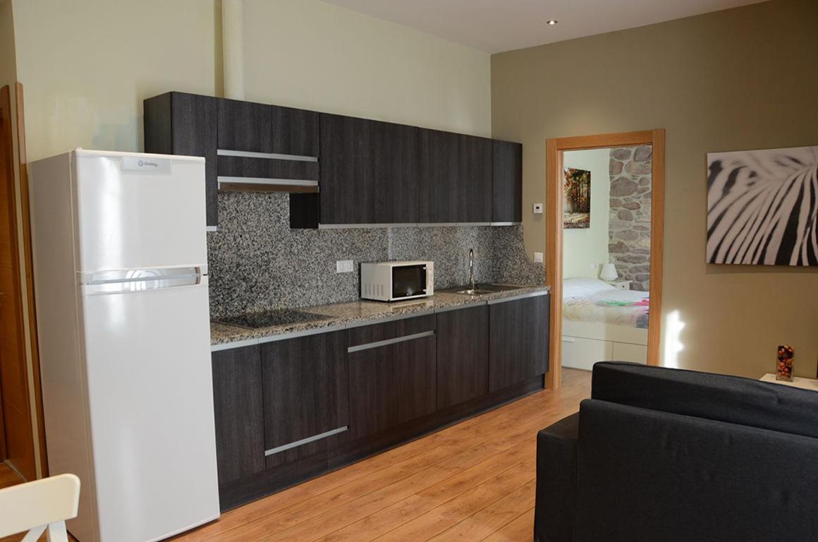 Apartamentos Elizondo * Elizondo